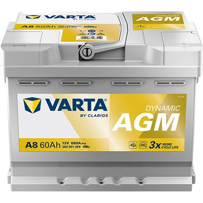 DYNAMIC AGM 560901068