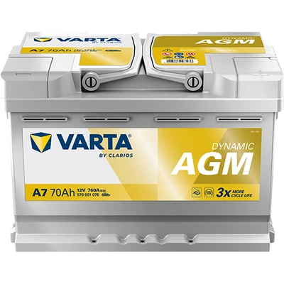 DYNAMIC AGM 570901076