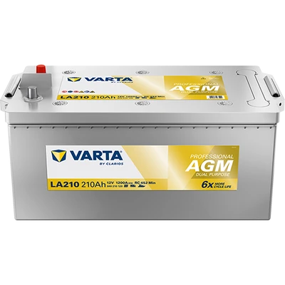 PROFESSIONAL AGM 840210120